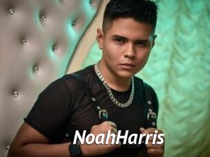 NoahHarris
