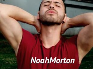 NoahMorton