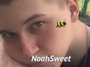 NoahSweet