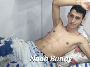 Noah_Bunny