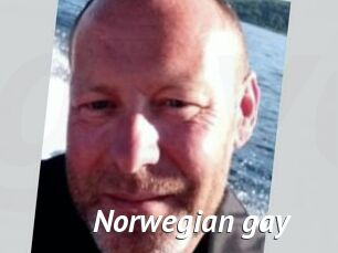 Norwegian_gay