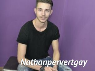 Nathanpervertgay