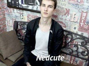 Nedcute