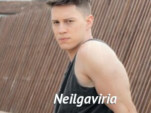 Neilgaviria