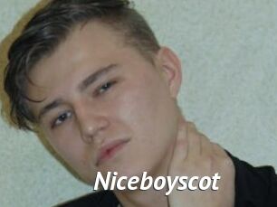 Niceboyscot
