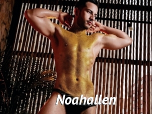 Noahallen