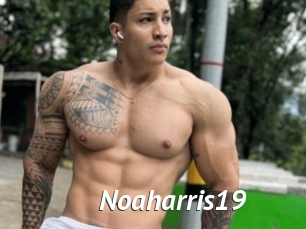 noaharris19 Gay Vod