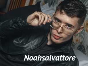 noahsalvattore Gay Vod