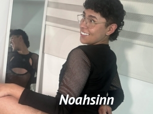 Noahsinn