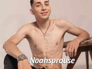 Noahsprouse
