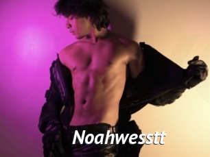 Noahwesstt
