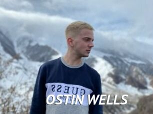 OSTIN_WELLS