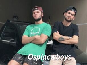 ospiacwboys Gay Vod