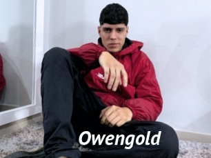 Owengold