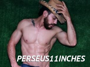 PERSEUS11INCHES