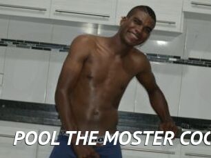POOL_THE_MOSTER_COCK