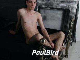 PaulBird