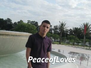 PeaceofLoves
