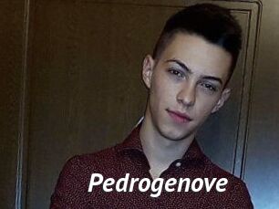 Pedrogenove