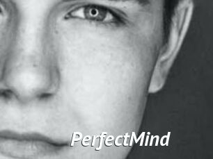 PerfectMind