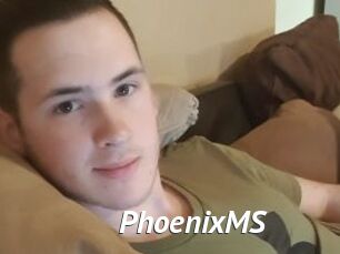 PhoenixMS