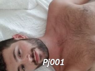 Pj001