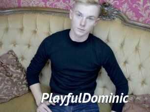 PlayfulDominic