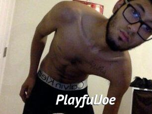 PlayfulJoe