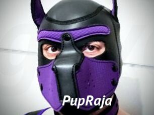 PupRaja