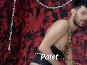 Palet