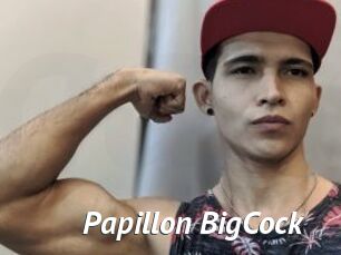 Papillon_BigCock
