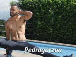 Pedrogarzon