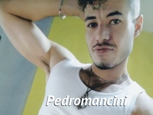 Pedromancini