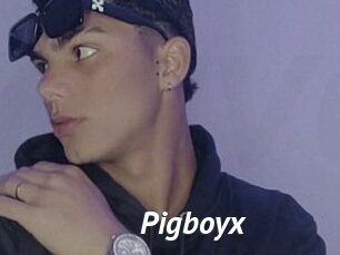 Pigboyx