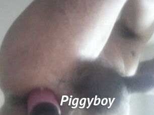 Piggyboy