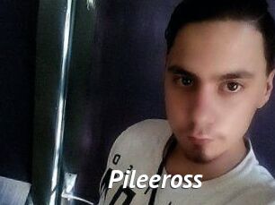 Pileeross