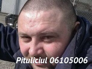 Pituliciul-06105006