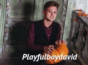 Playfulboydavid