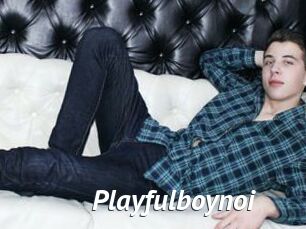 Playfulboynoi