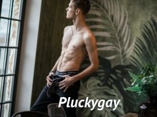 Pluckygay