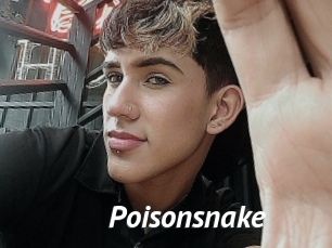 Poisonsnake
