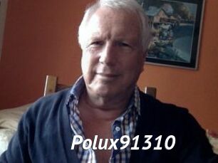 Polux91310