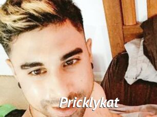 Pricklykat