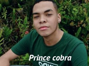 Prince_cobra