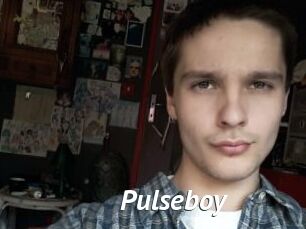 Pulseboy