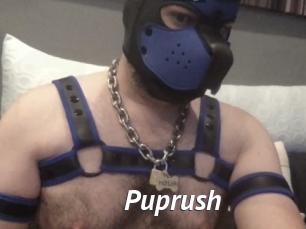 Puprush