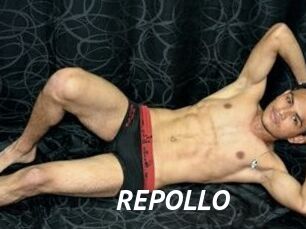 REPOLLO