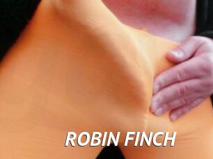 ROBIN_FINCH