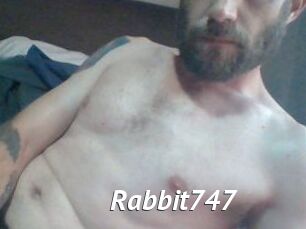 Rabbit747