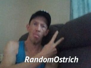 RandomOstrich